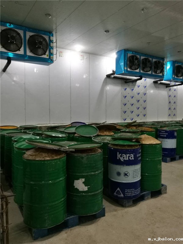 印尼冷库50吨海水实验-25℃