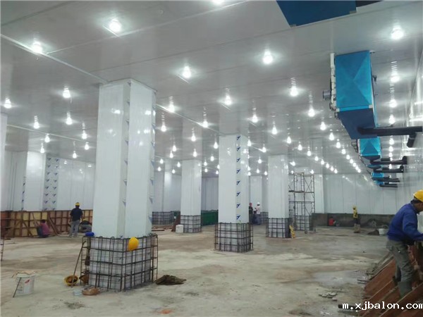 印尼冷库施工现场2